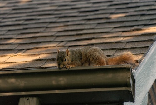roof-contractors-iowa-city.jpg