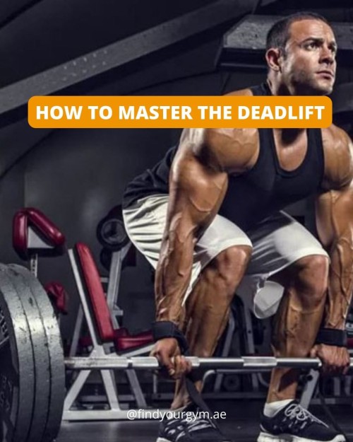 Gyms.jpg