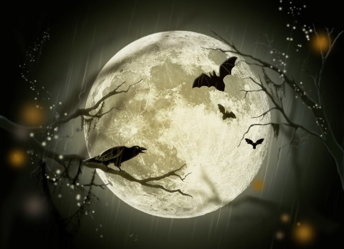 halloween-72939_1920.jpg