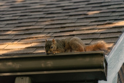 roofing-companies-north-liberty.jpg