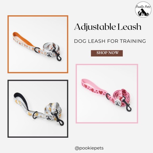 Dog-leash-for-training---Pookie-Pets.jpg