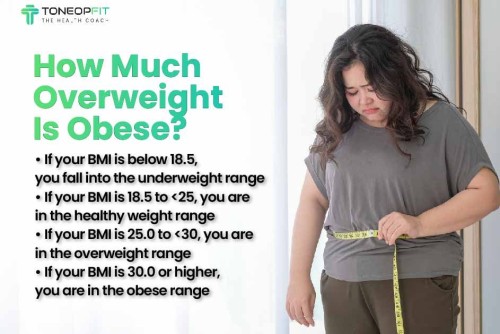 How_Much_Overweight_Is_Obese_30c6ff55fd.jpg