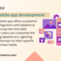 Salesforce-mobile-app-development-BI