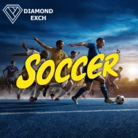 Soccer-Sensation--Celebrating-The-Sport