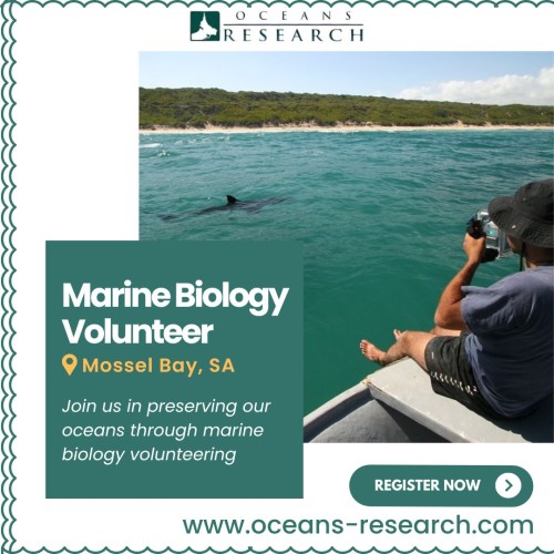 Marine-Biology-Volunteer.jpg