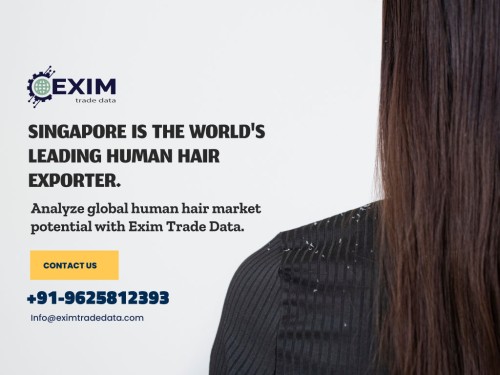 singapore-hair.jpg