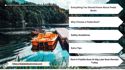 Everything-You-Should-Know-About-Renting-a-Pedal-Boat-In-Big-Lake.png