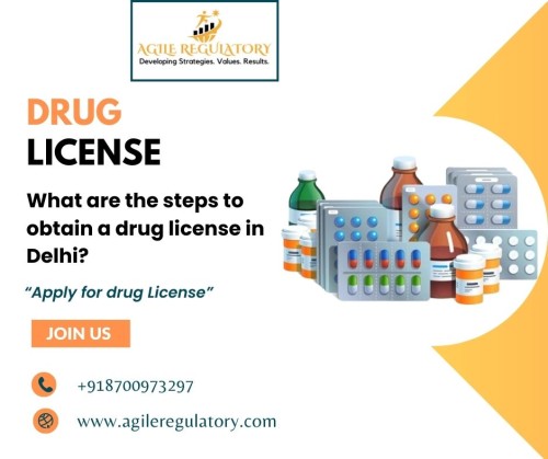 What-are-the-steps-to-obtain-a-drug-license-in-Delhi.jpg