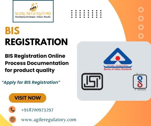 BIS-Registration-Online-Process-Documentation-for-product-quality.jpg