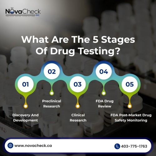 The-Importance-of-Drug-Testing-for-Businesses.jpg