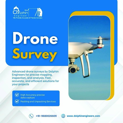 Dolphin-Engineer.jpg