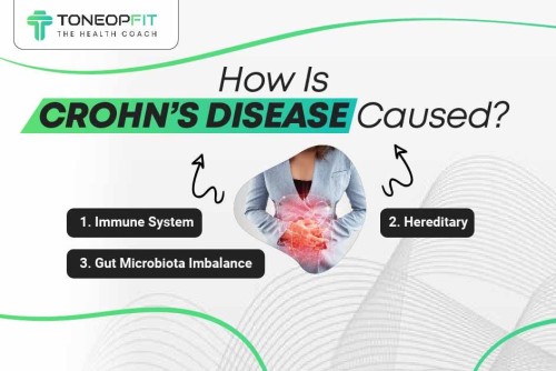 How-Is-Crohns-Disease-Caused.jpg