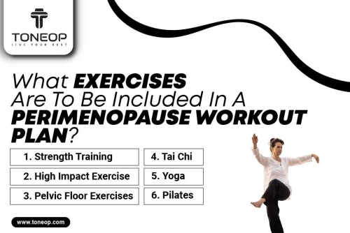 What-Exercises-Are-To-Be-Included-In-A-Perimenopause-Workout-Plan.jpg