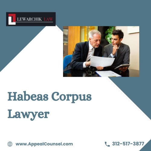 Habeas-Corpus-Lawyer.jpg
