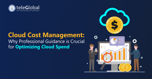 Cloud-Cost-Management--Why-Professional-Guidance-is-Crucial-for-Optimizing-Cloud-Spend---TeleGlobal-International.png