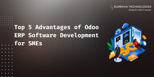 Top-5-Advantages-of-Odoo-ERP-Software-Development-for-SMEs.jpg