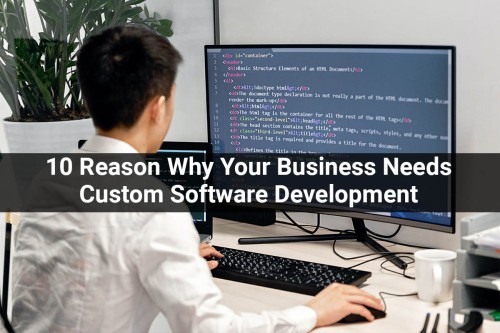 10-Reason-Why-Your-Business-Needs-Custom-Software-Development.jpg