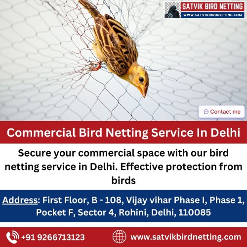Commercial-Bird-Netting-Service-In-Delhi.jpg