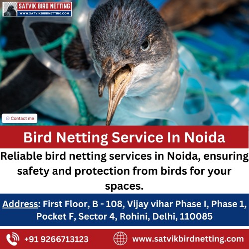 Bird-Netting-Service-In-Noida.jpg