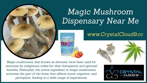 5.-Magic-Mushroom-Dispensary-Near-Me.jpg