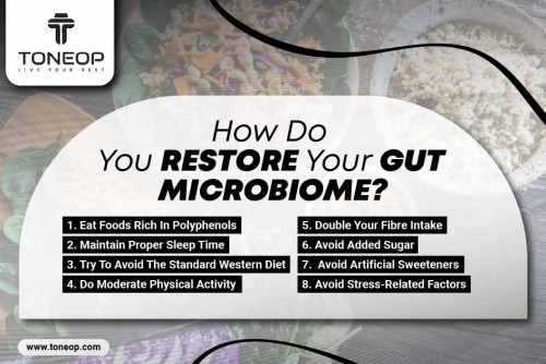 How-Do-You-Restore-Your-Gut-Microbiome.jpg