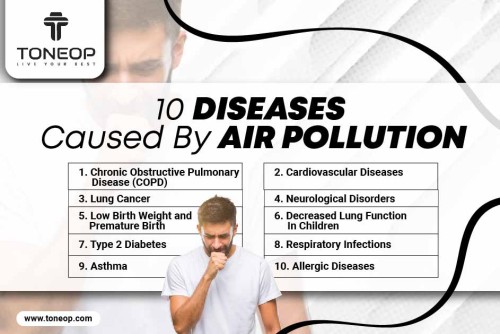10-Diseases-Caused-By-Air-Pollution.jpg