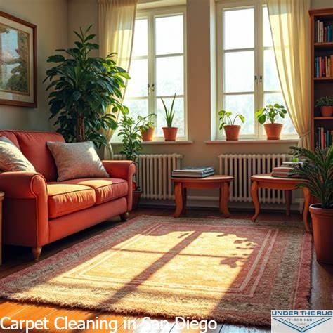 Carpet-Cleaning-in-San-Diego2.jpg