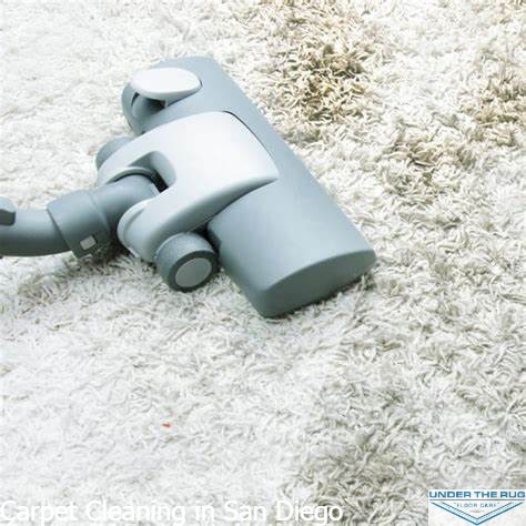 Carpet-Cleaning-in-San-Diego8.jpg