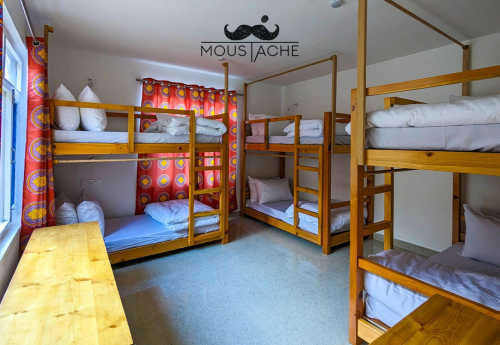 Best-Backpacker-Hostel-in-Manali--Moustache-Escapes.png