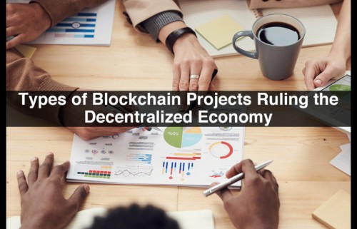 A-Guide-to-the-Types-of-Blockchain-Projects-Ruling-the-Decentralized-Economy-1.jpg