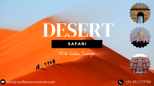 Desert-Safari-With-Golden-Triangle-1.png