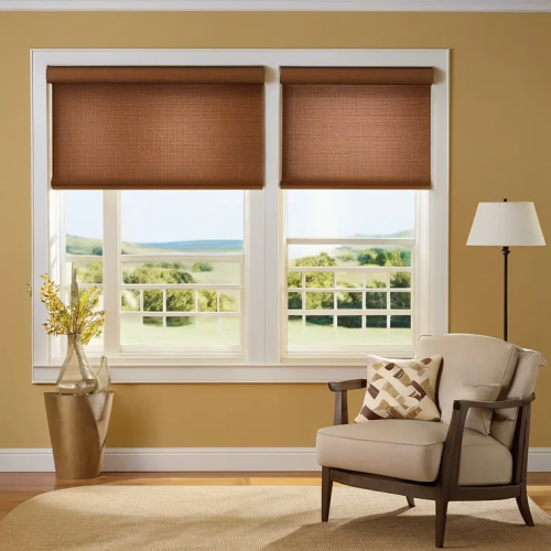 Roller-Shades-in-Edmonton-Canada.png