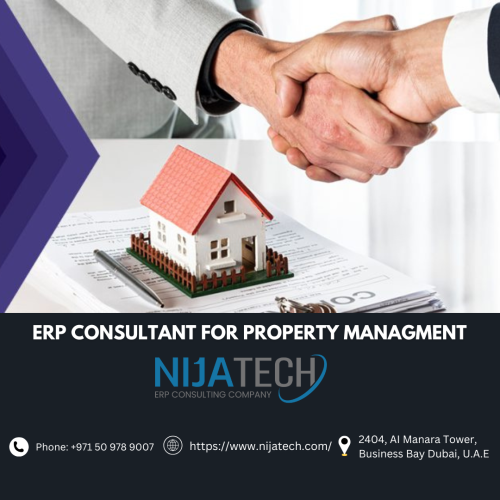 ERP-consultant-for-property-managment.png