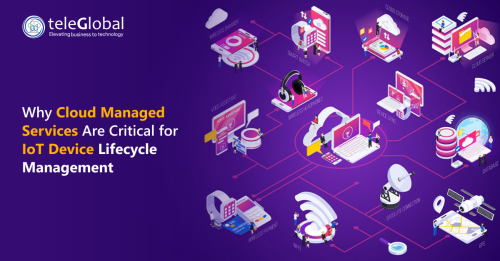 Why-Cloud-Managed-Services-Are-Critical-for-IoT-Device-Lifecycle-Management.png