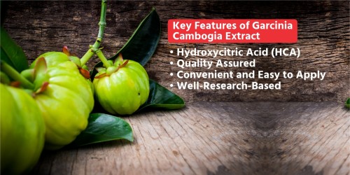 Shri-Ahmisa-Natural-Caffeine-Garcinia-Cambogia-Key-Feature.jpg