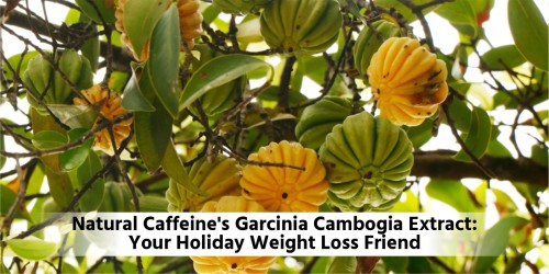 Shri-Ahmisa-Natural-Caffeine-Garcinia-Cambogia.jpg