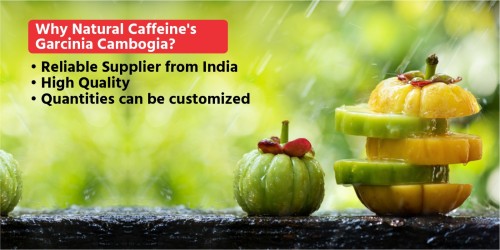 Why-Shri-Ahmisa-Natural-Caffeine-Garcinia-Cambogia.jpg