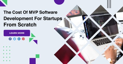 The-Cost-Of-MVP-Software-Development-For-Startups-From-Scratch-1.jpg