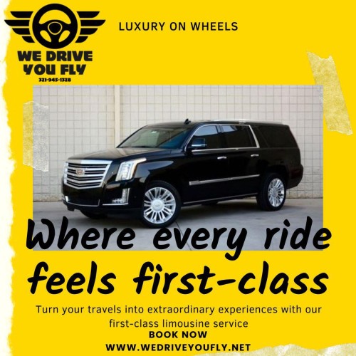 Reliable-Orlando-Car-Service-to-Disney---Private-Transportation.jpg