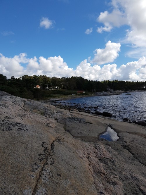 20180825-151912.jpg