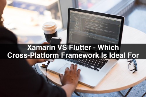 Xamarin-VS-Flutter-Which-Cross-Platform-Framework-Is-Ideal-For-You.jpg