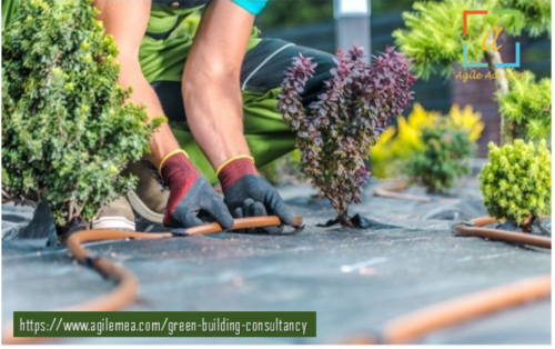 Green-Building-Consultancy-Strategies-for-Water-Conservation-and-Management.png
