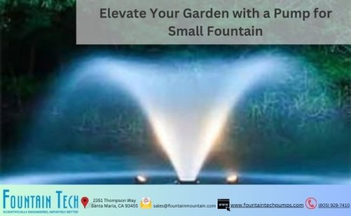 Elevate-Your-Garden-with-a-Pump-for-Small-Fountain.jpg