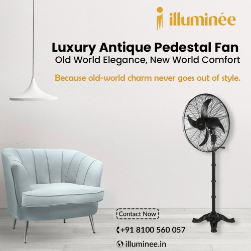 Luxury-Antique-Pedestal-Fan-illuminee.jpg