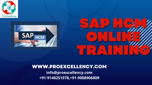 SAP-HCM-Online-Training-1.png