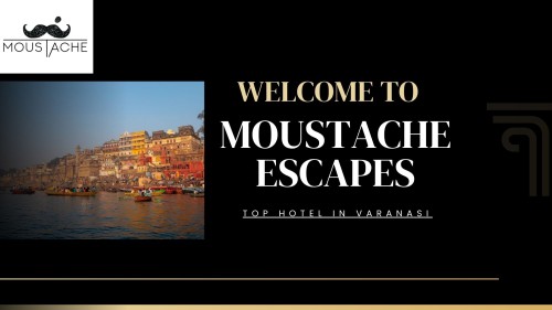 Welcome-to-Moustache-Escapes.jpg
