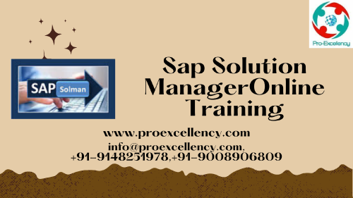 Sap-Solution-ManagerOnline-Training-image.png