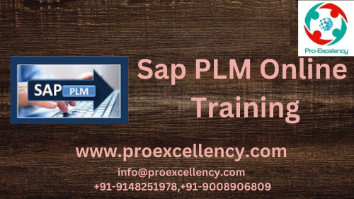 Sap-PLM-Online-Training-image-1.png