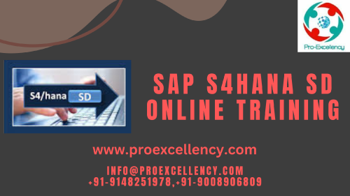 SAP-S4hana-SD-Online-Training-image.png