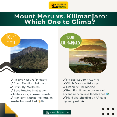 KiliTrips-mt.-meru-vs-mt-kili.png